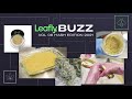 Leafly Buzz Vol. 08 🐝 Hash Edition