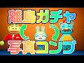 【生放送】あつ森「マイル旅行券90枚使い切るまで終わらない離島ガチャ」
