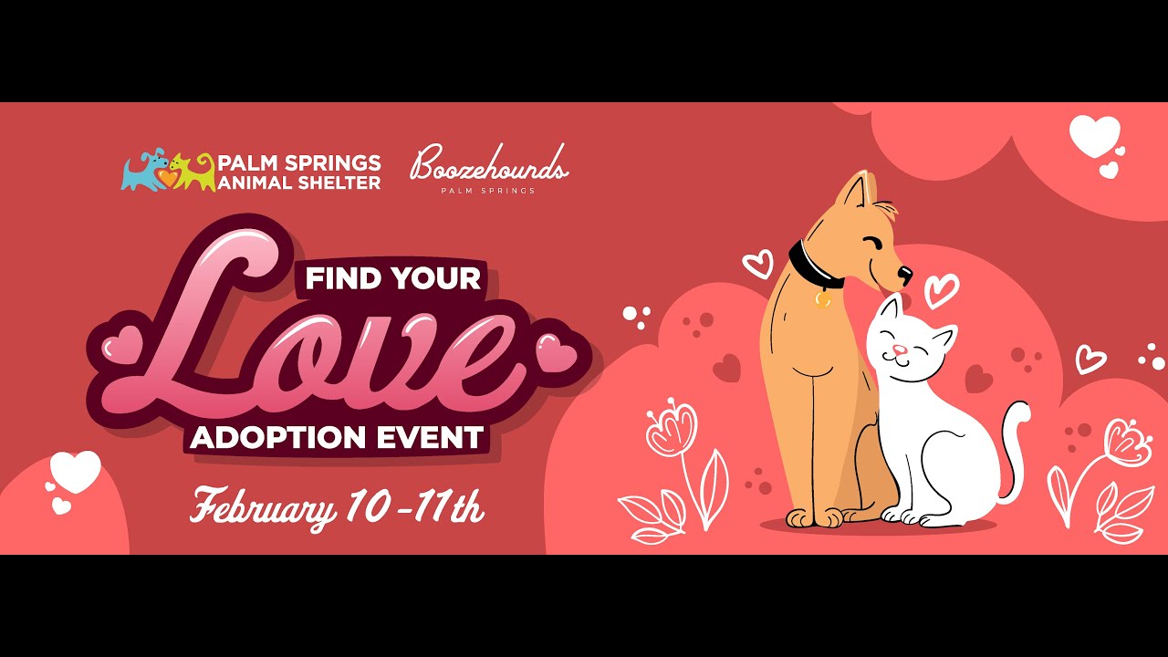 Find Your Love Adoption Event - YouTube