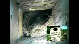 RRGC Wood Duck Project - Camera #1