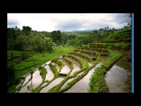Video: ¿Qué Es La Agricultura De Paisaje Adaptativo?