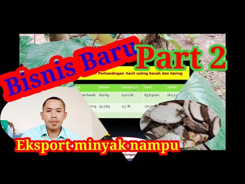 Video: Ide Bisnis: Penyulingan Sebagai Pertunjukan