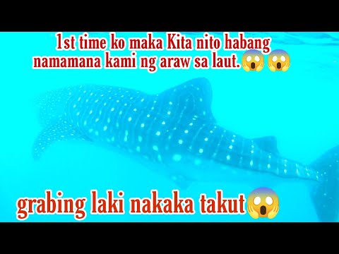 EP#10spear fishing Philippines,namana