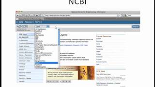 How to Align Sequences Webinar (1/7) Intro and NCBI Overview