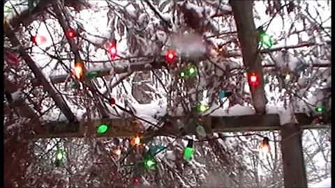 Nancy Today: Porch forest Christmas lights year 2 ...