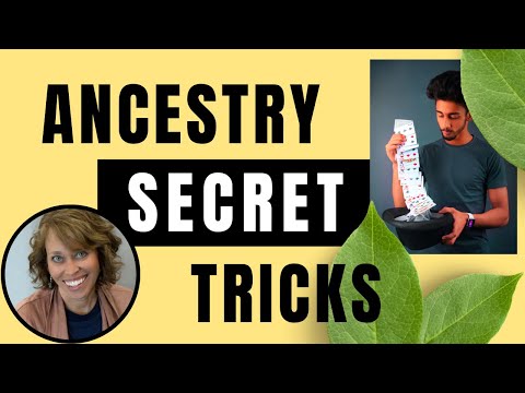 genealogy notebook flip through｜TikTok Search