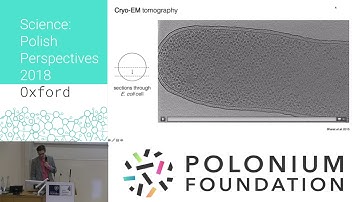 Science: Polish Perspectives Oxford 2018 - DAY 1 - Andrzej Szewczak-Harris - Frozen In Motion