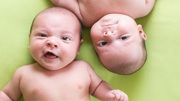 Nature, Nurture or Neither? The View from the Genes - Professor Steve Jones