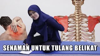 Senaman Untuk Tulang Belikat Thoracic Mobility Exercise Youtube