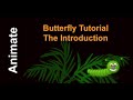 Butterfly introduction