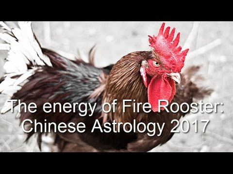 Video: Apa Yang Hendak Dilayan Pada Tahun Fire Rooster