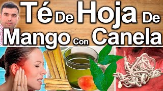 TE DE HOJA DE MANGO CON CANELA EN AYUNAS - Para Qué Sirve Y Beneficios Para Tu Salud