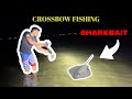 Crossbow Fishing for Shark Bait | LISHARKMAN : @ballista.archery