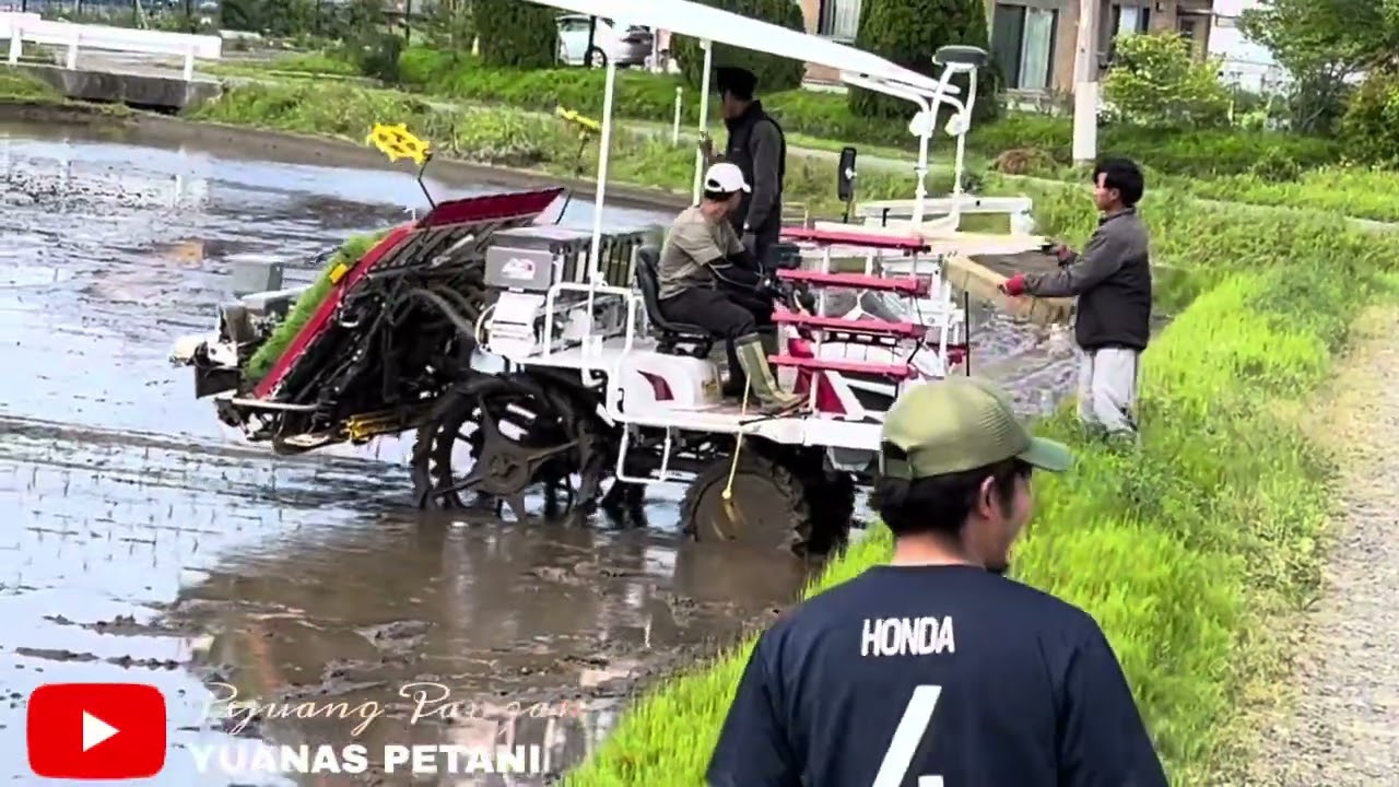 ASSALAMUALAIKUM!!kegembiraan di musim tanam padi🌾🌾🌾