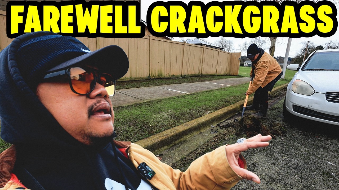 Farewell our beloved Crack Grass... hello new headache.... still winter 🥶