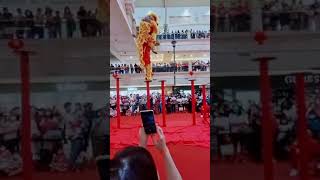 Barongsai imlek 2023
