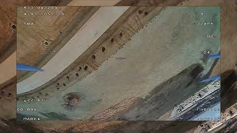 Shark Byte First Flight