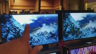 M552i-B2 - 240HZ 55 \\
