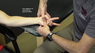 Manual Muscle Test Thumb Opposition