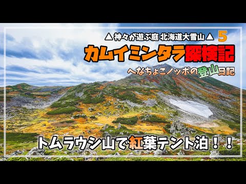 【カムイミンタラ探検記5】トムラウシ山で紅葉テント泊！｜北海道大雪山