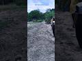Link Road Construction Begins in the Village #shortsfeed #shorts #ruraldevelopment
