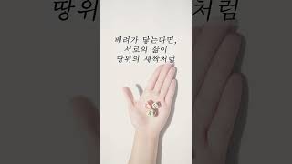 24시간을 현명히 보내는64괘 주역카드 리딩