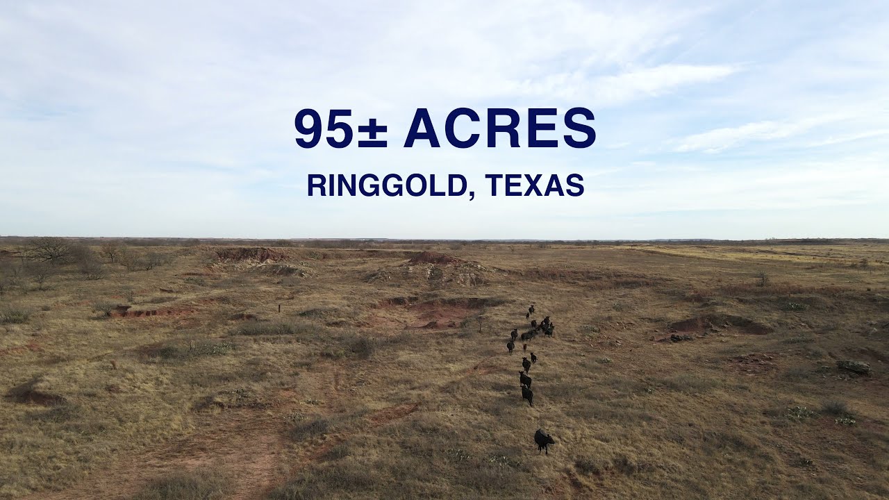 HUNTING LAND FOR SALE TEXAS RINGGOLD MONTAGUE COUNTY RANCHES YouTube