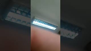 Trans Kadının Polisler Tarafından Maruz Kaldığı Şiddet