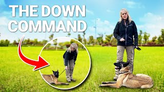 Teach Your Dog the PERFECT Down Command by Shannon Walker - The Pack Leader 906 views 4 months ago 10 minutes, 44 seconds