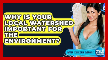 Why Is Your Local Watershed Important For The Environment? - Water Science For Everyone