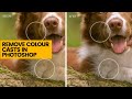 Color Cast Removal Techniques Quiz