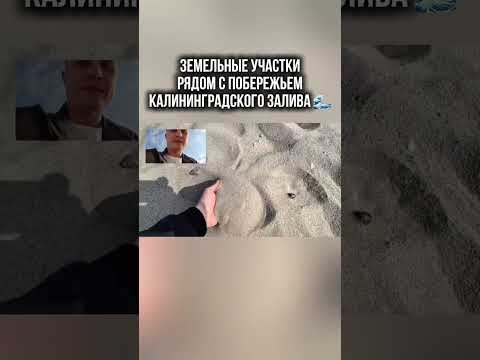 Земельные участки в Калининградской области! #калининград #недвижимостькалининград