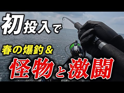 ウルメバイブでショアジギング五目をやったら一瞬で怪物ヒット＆爆釣に遭遇しました