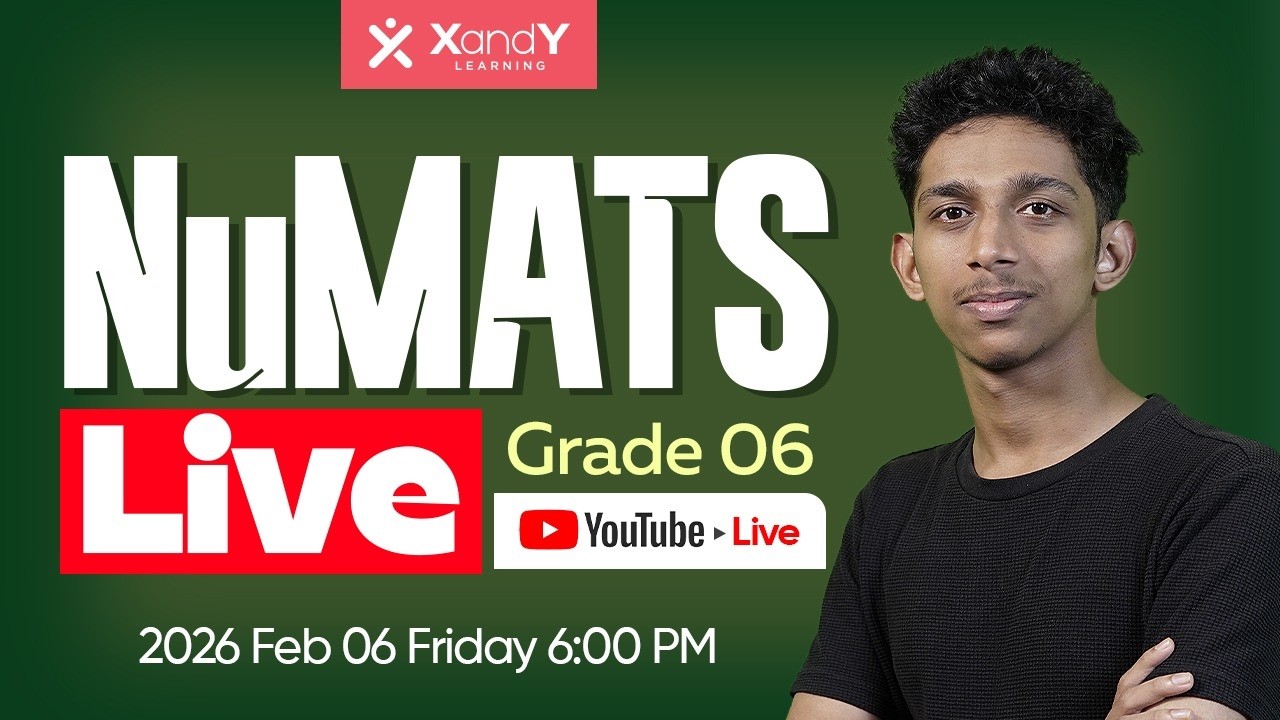 NuMATS 2026: Grade 6 Maths Full Marks 🎯 | Previous Year Questions | NuMATS | XandY Class 06