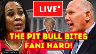 🚨BREAKING🚨Judge Hands Trump HUGE WIN in Fani Willis Hearing! The Pit Bull Sadow Responds!