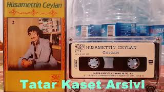 Hüsamettin Ceylan ---- Sana Inanmam Resimi