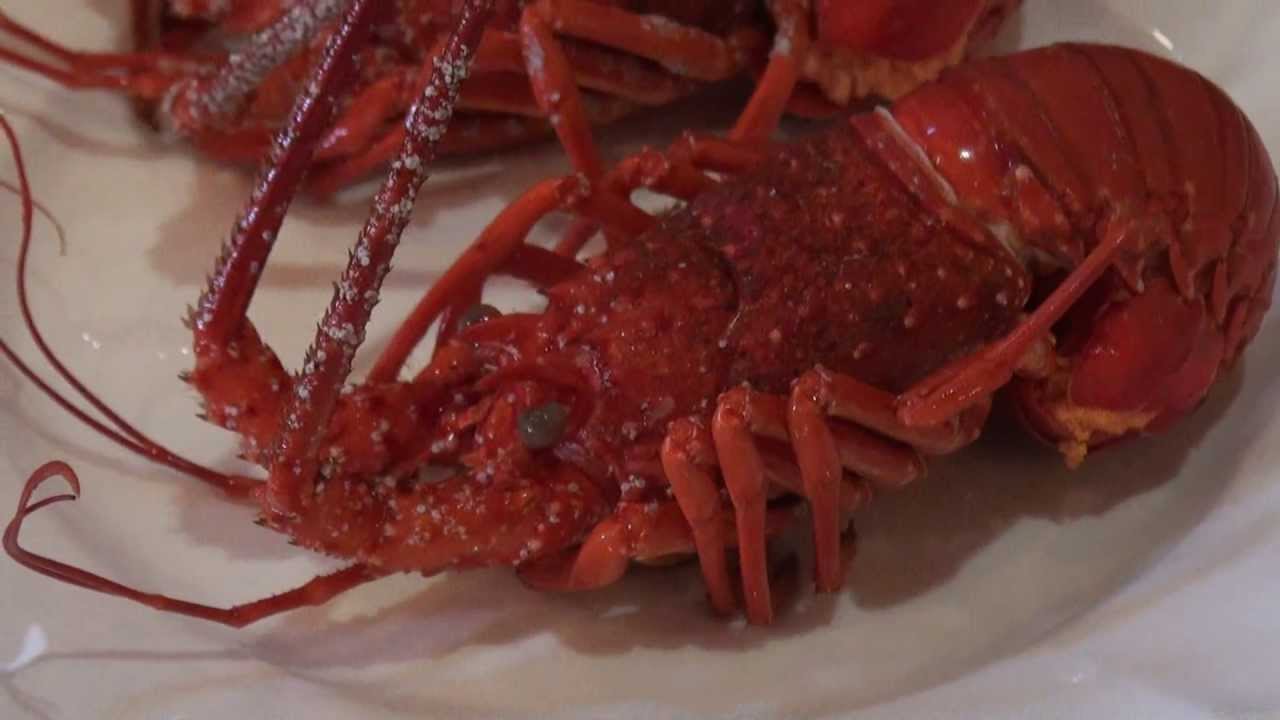 Spiny Lobster 伊勢海老 茹で上げ美味しいよ Youtube