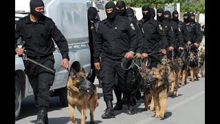 تدريب الكلاب البوليسية الأمريكية American Police Dog Training