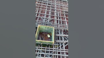 Additional Cross Bar For MEP Slab Opening.#shortvideo #construction