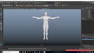 Quick Rig Example