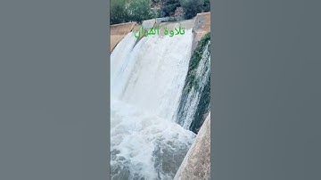 تلاوة عطرة #