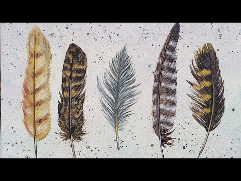 How to Paint a Feather by Ruby — Blue Corduroy