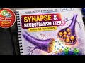 Neurotransmitter & Synapse Full Topic | B.Pharm HAP 2 | Exam Ready Notes