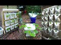 The Future of Farming, Growing With No Soil, Cheap & Easy Hydroponics