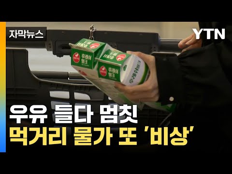 [자막뉴스] 소비 줄어도 인상... 먹거리 물가 또 '비상' / YTN