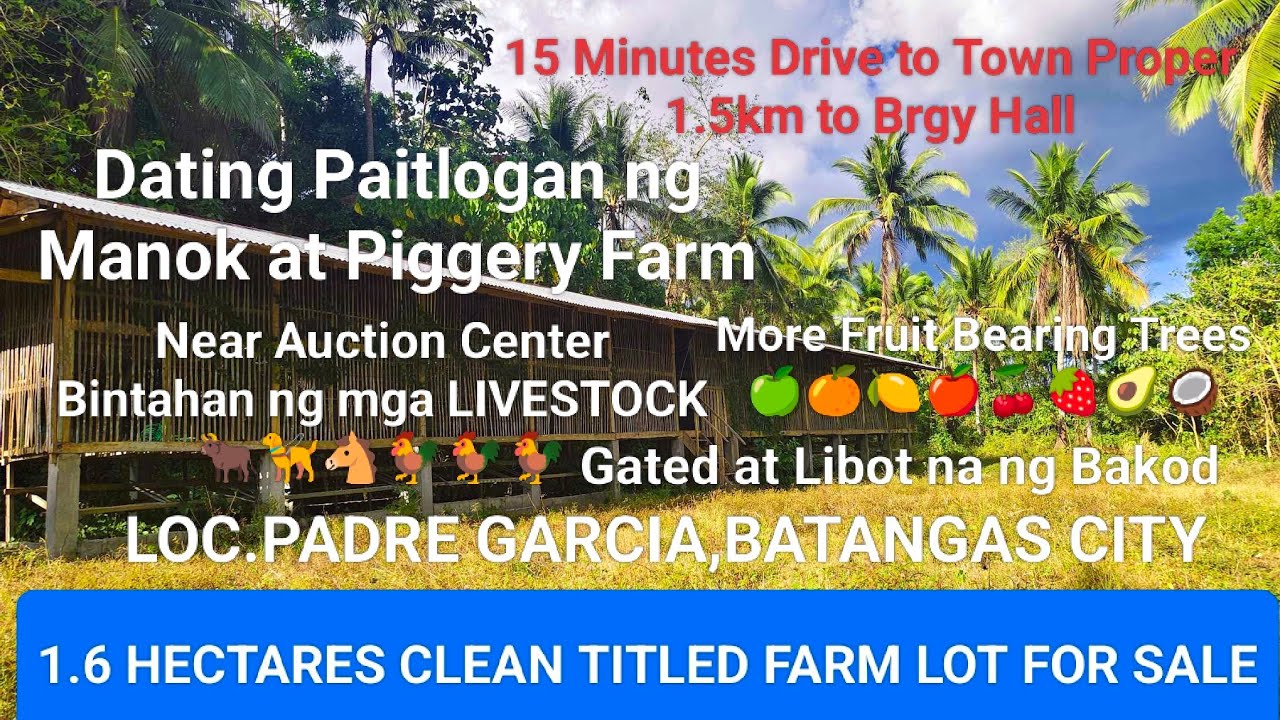 #Vlog306 FARM LOT CLEAN TITLED FOR SALE,DATING PIGGERY AT PAITLOGAN NG MANOK | PADRE GARCIA BATANGAS