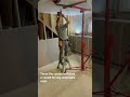 Drywall lift #shorts