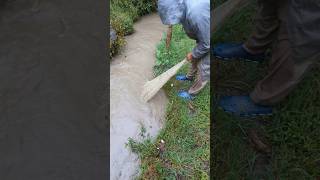 🌧️🎣 Rainy Day Cast Net Fishing Perfect Weather For Outdoor. Resimi