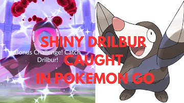 I CAUGHT A SHINY DYNAMAX DRILBUR IN POKEMON GO
