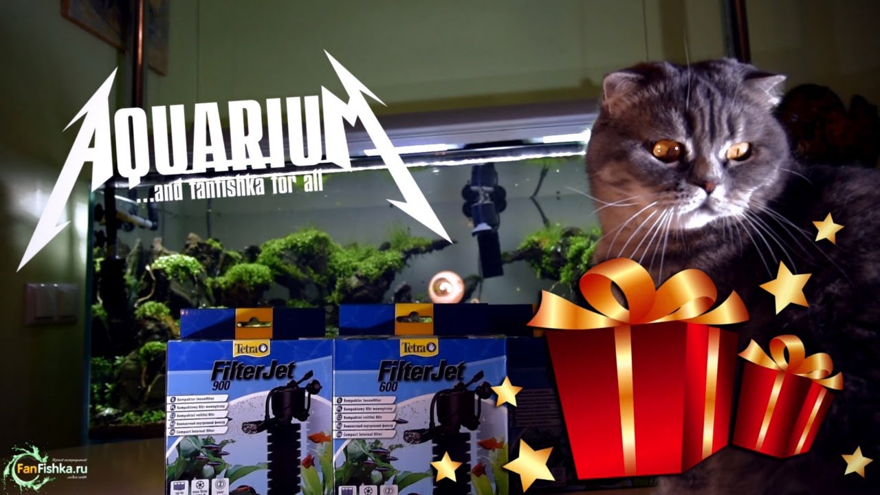 Итоги розыгрыша Tetra Filter Jet